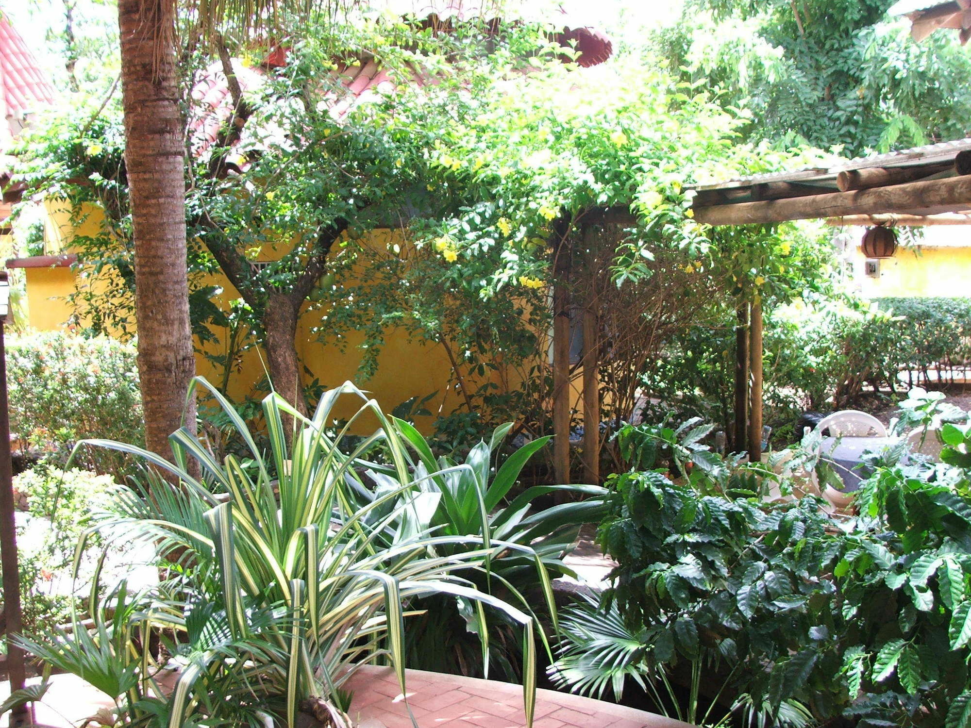Hotel Luna Llena Tamarindo Exterior photo